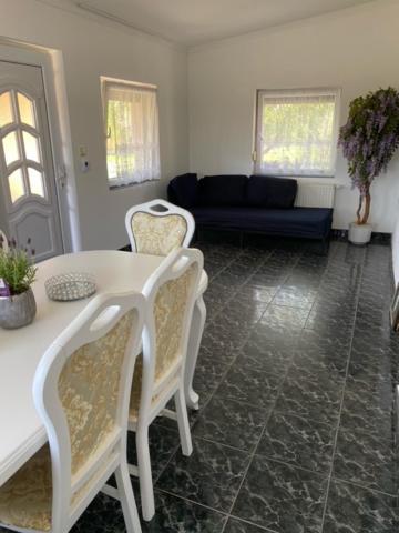 Apartament Magic Vendeghaz Abádszalók Zewnętrze zdjęcie